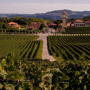 Tour Vale dos Vinhedos com Caminho de Pedras